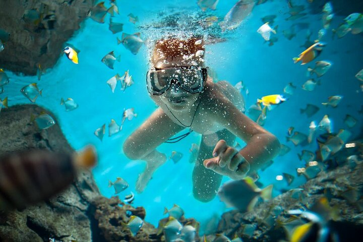 Full Day Catalina Island Snorkeling Adventure & Altos de Chavon - Photo 1 of 22